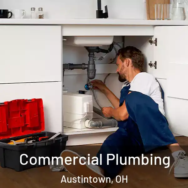  Commercial Plumbing Austintown, OH