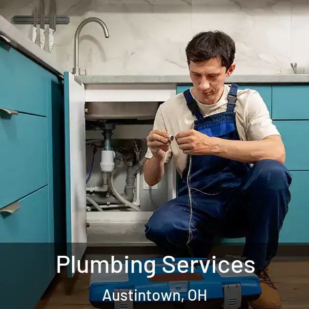  Plumbing Services Austintown, OH