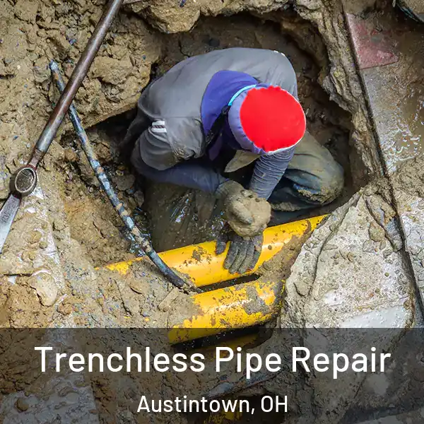  Trenchless Pipe Repair Austintown, OH